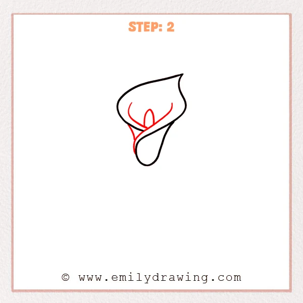 how to draw a calla lily - Calla lily outline with a small central oval spadix and added inner curved fold lines showing the petal wrapping inward.